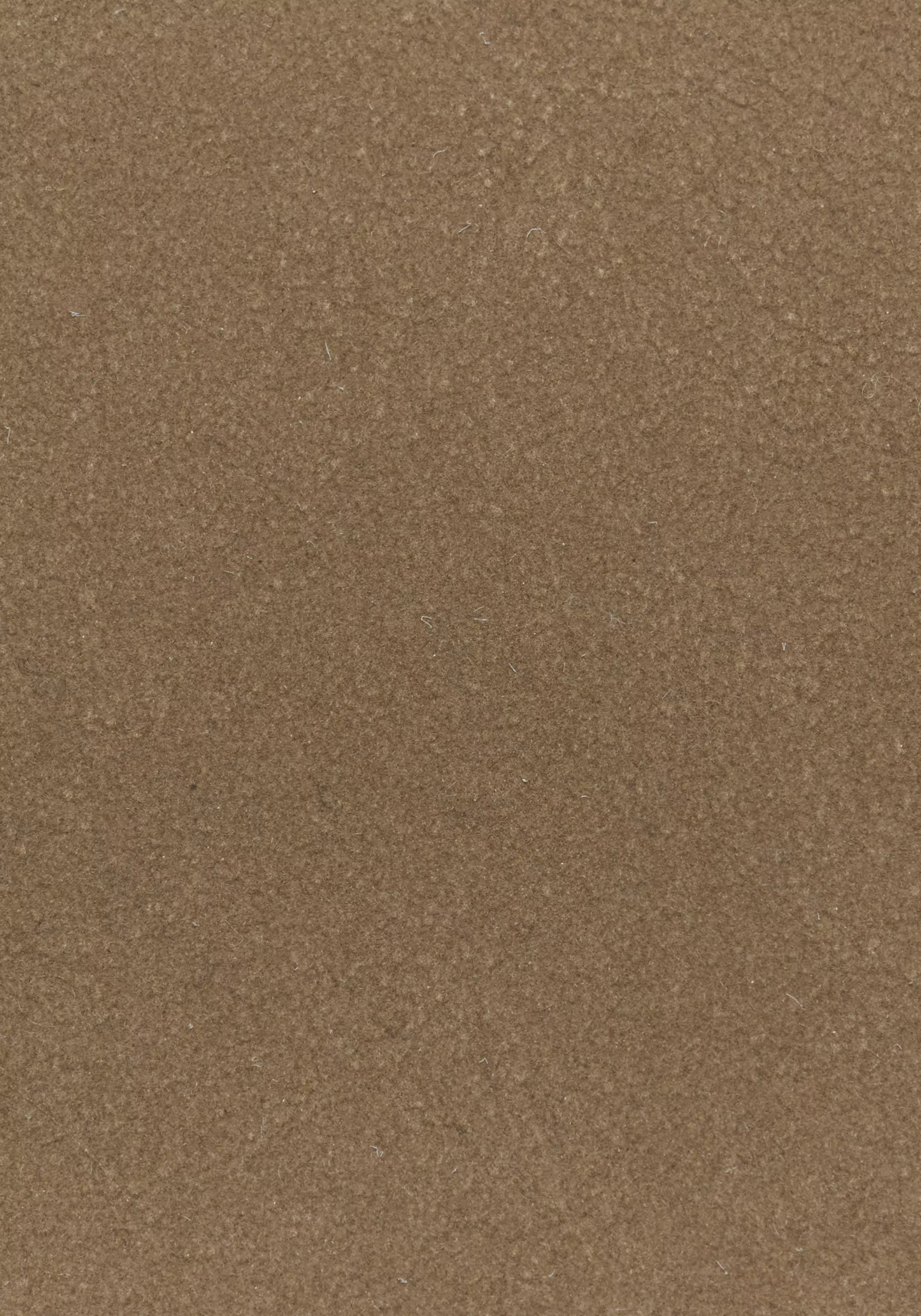 #color_light brown
