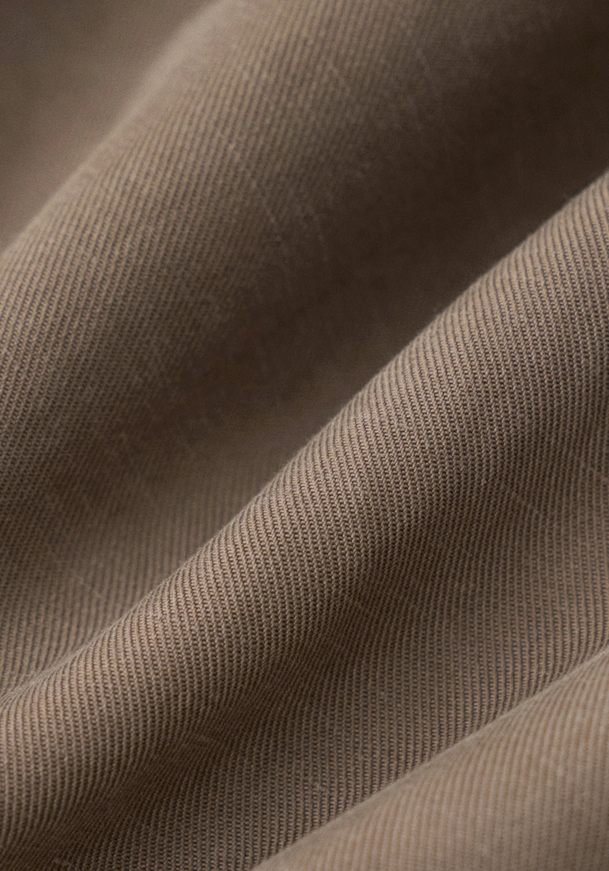 #color_light brown