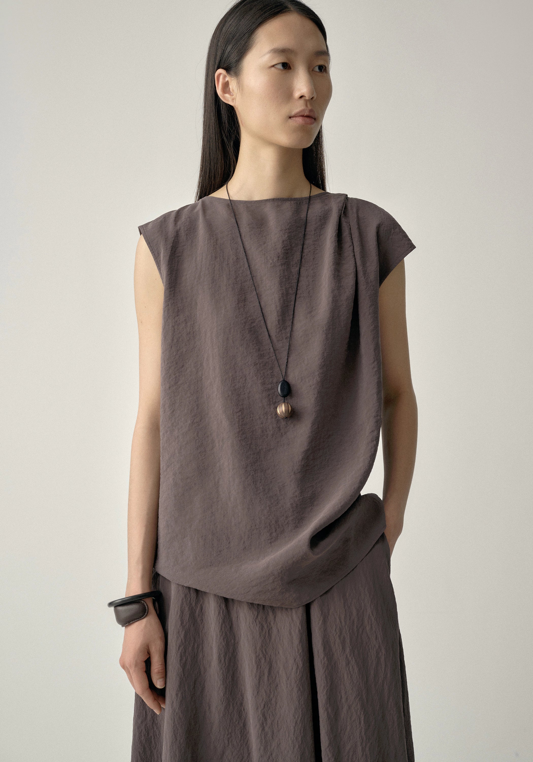 #color_plum brown