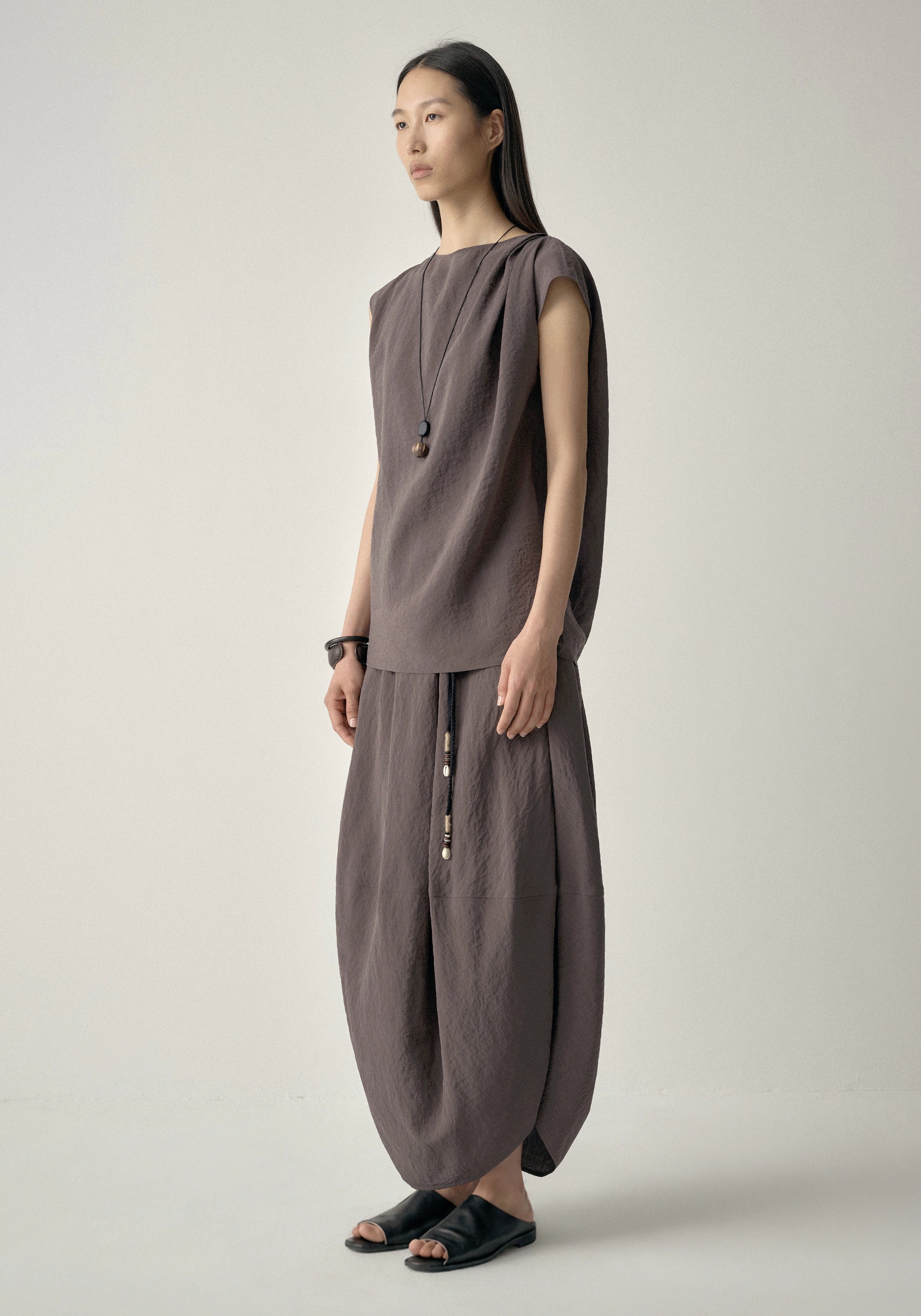 #color_plum brown