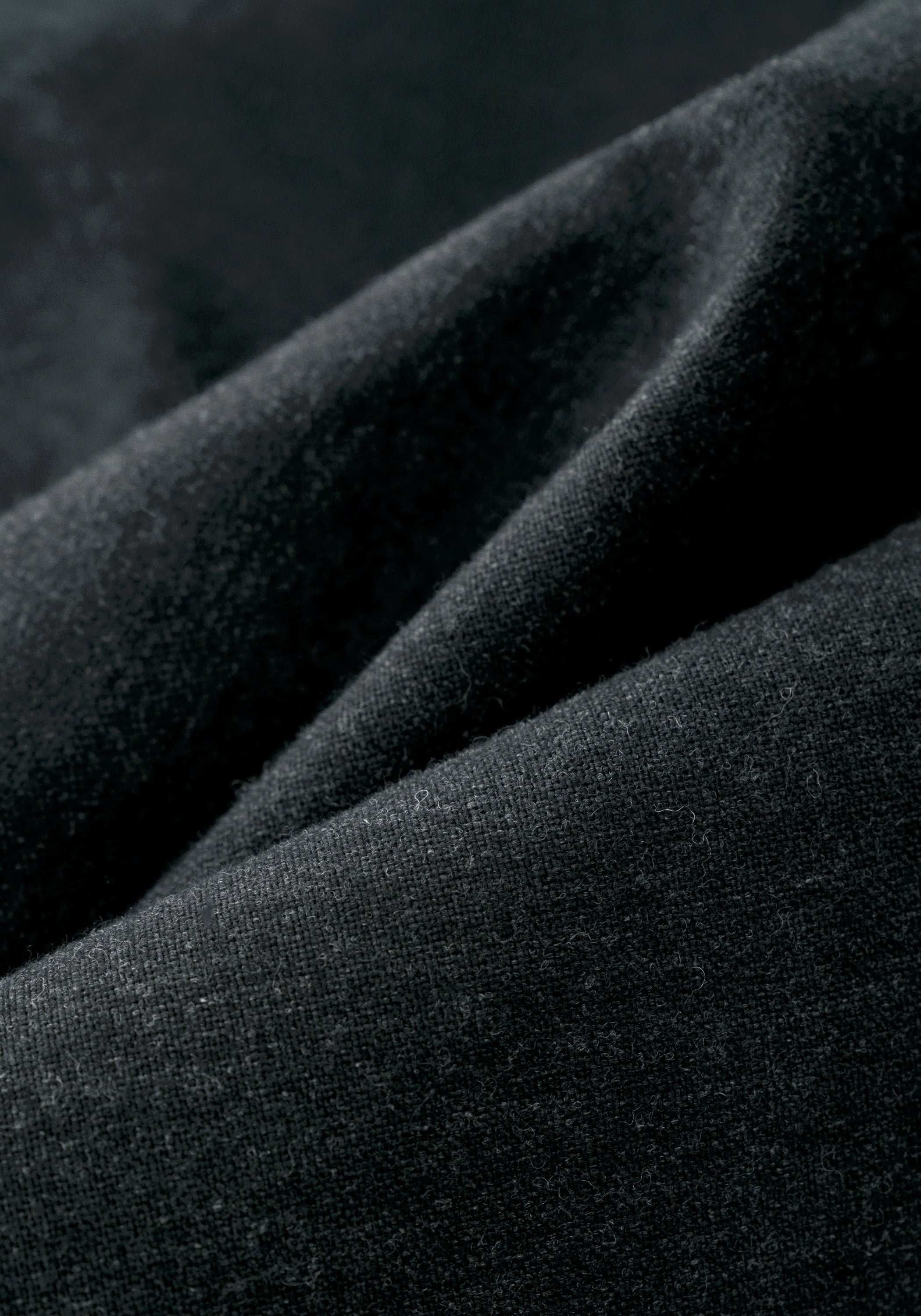 #color_black ash