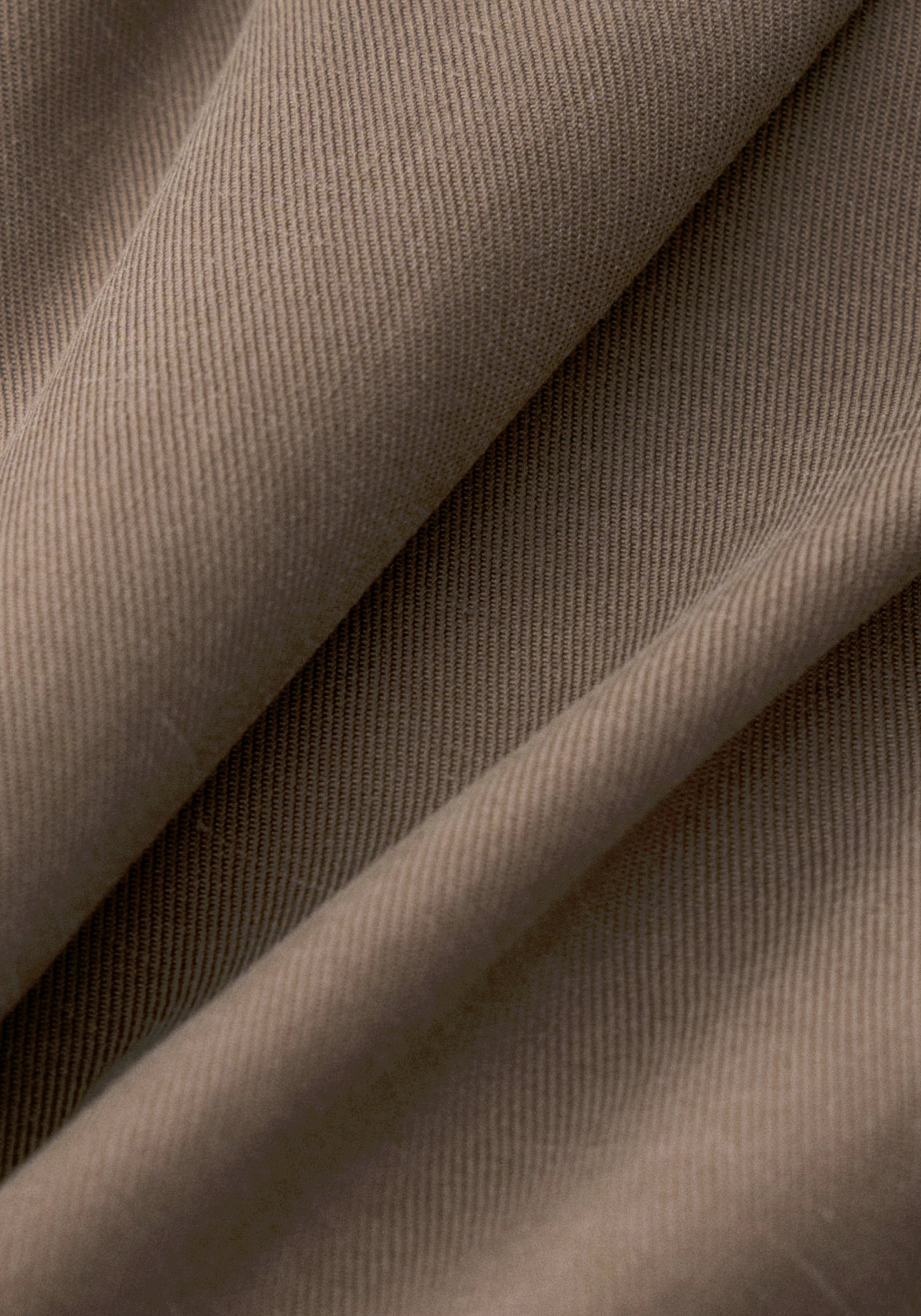 #color_light brown