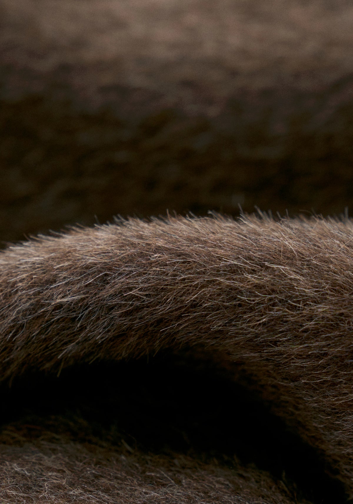 #color_raw umber