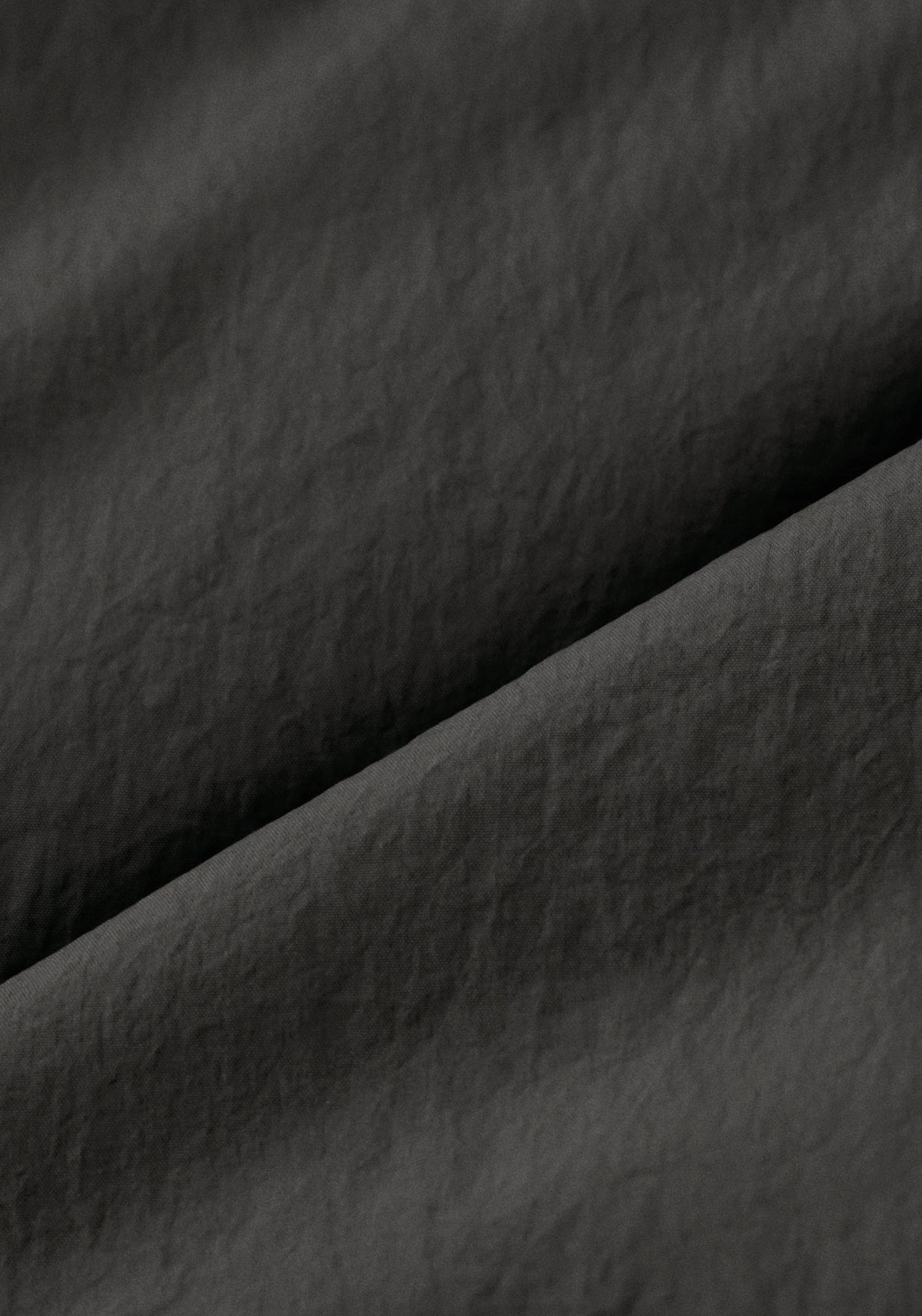 #color_black ash