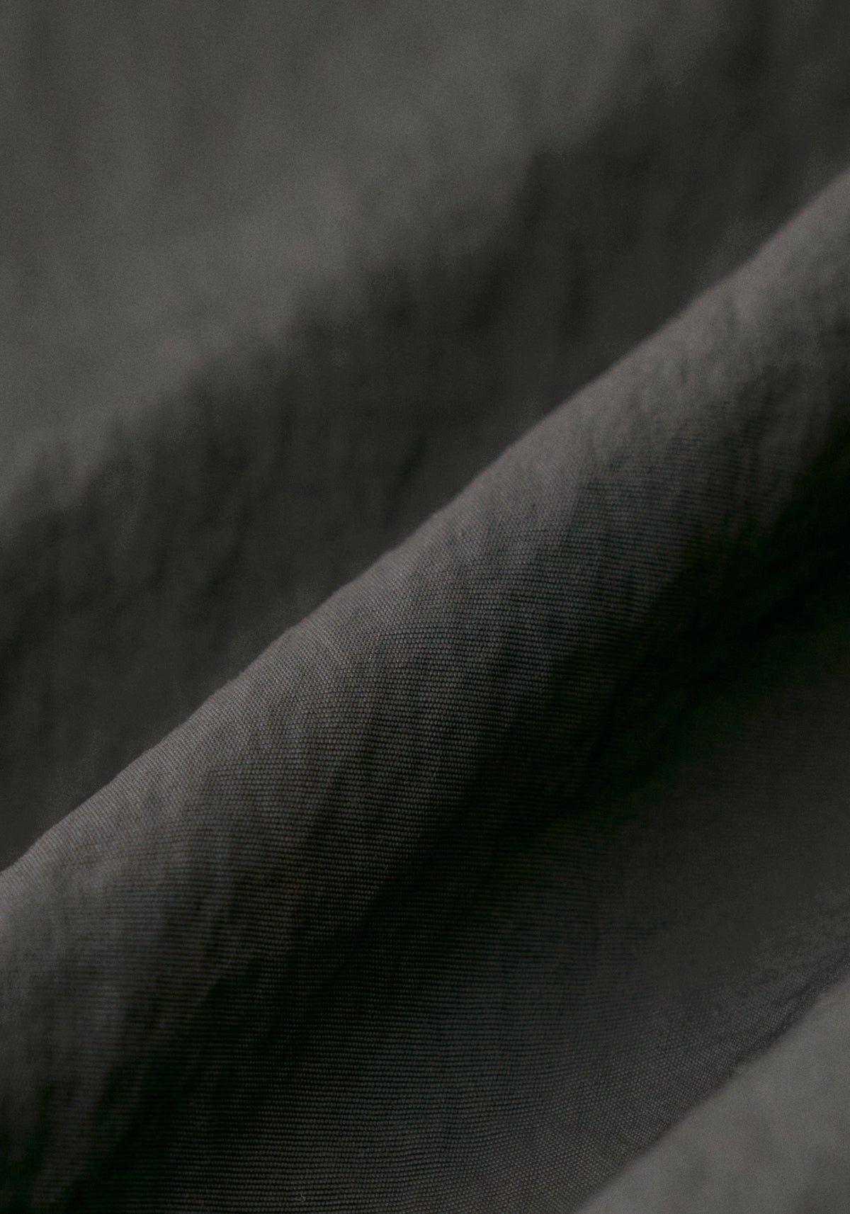 #color_black ash
